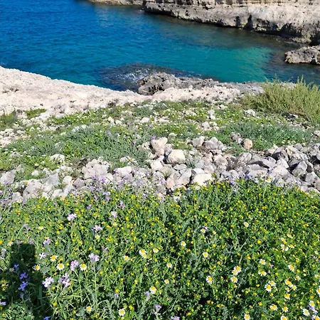 Holyday Il Carrubo شقة أوغوستا